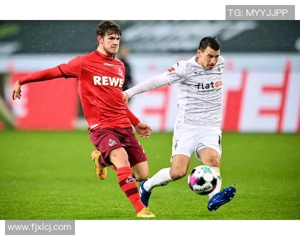 汉堡对阵桑德豪的比赛前瞻与胜负预测分析