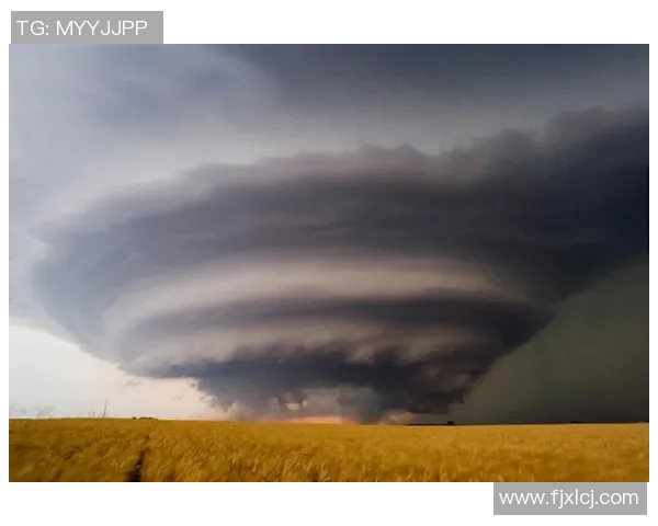 飓风来袭中的防卫与正义之辩：人性与自然的较量与思考